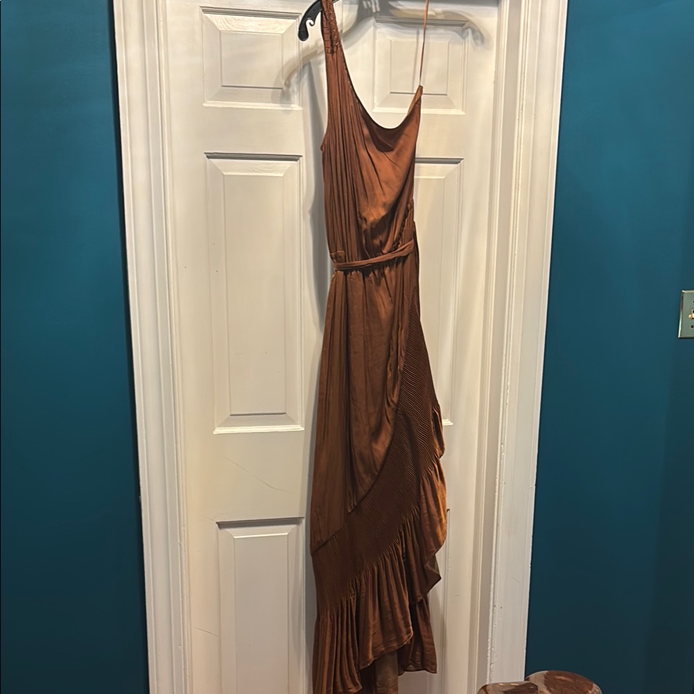 Elegant Golden Brown One Sleeve Dress By Ramy Brook